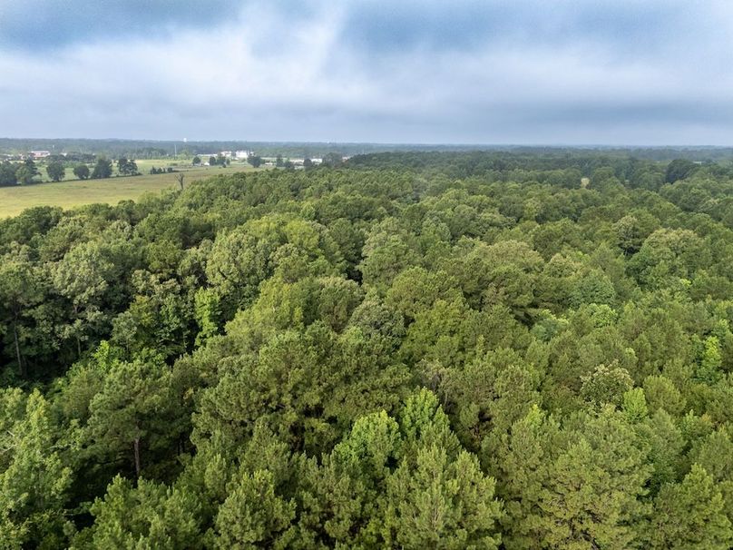 12 Panola Co. 40ac - Rouse-27