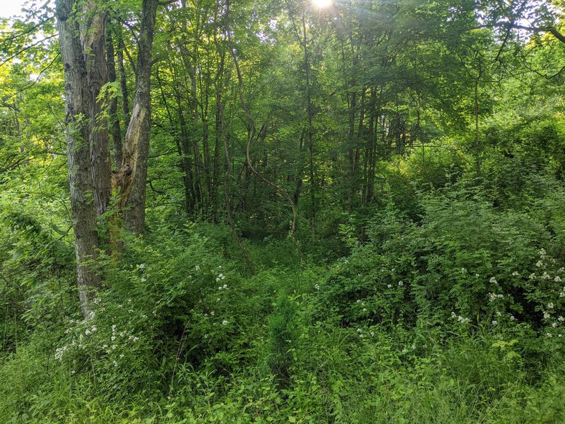 PXL_20230602_130419688