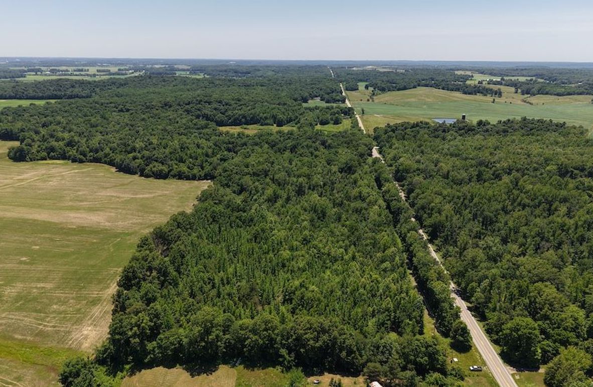 dji_fly_20260602_140520_0114_1780423567143_photo