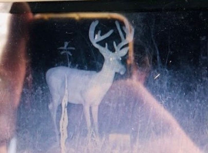 output_image1682678363731