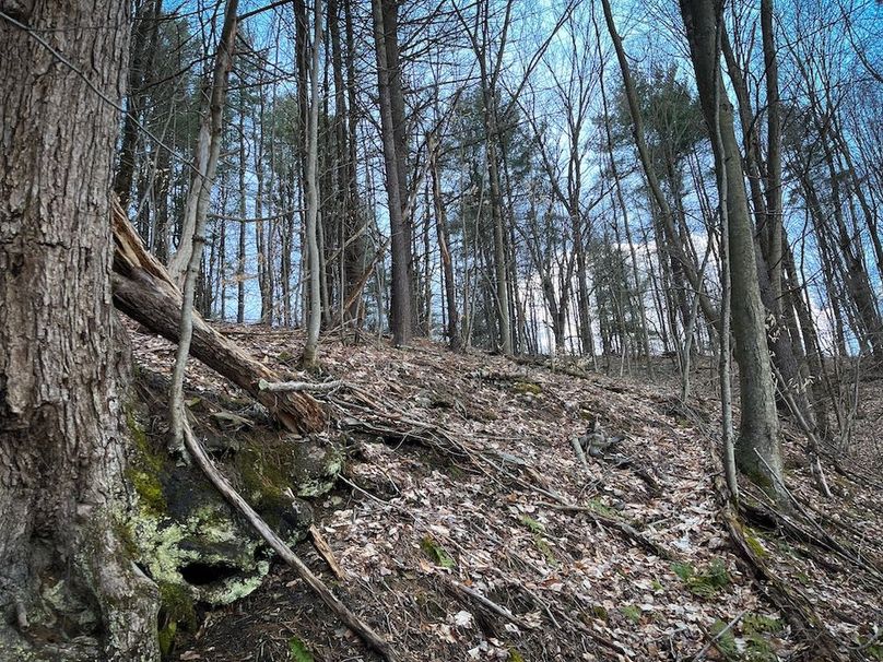 Tioga__NY_109.7_Burris_Photos_86