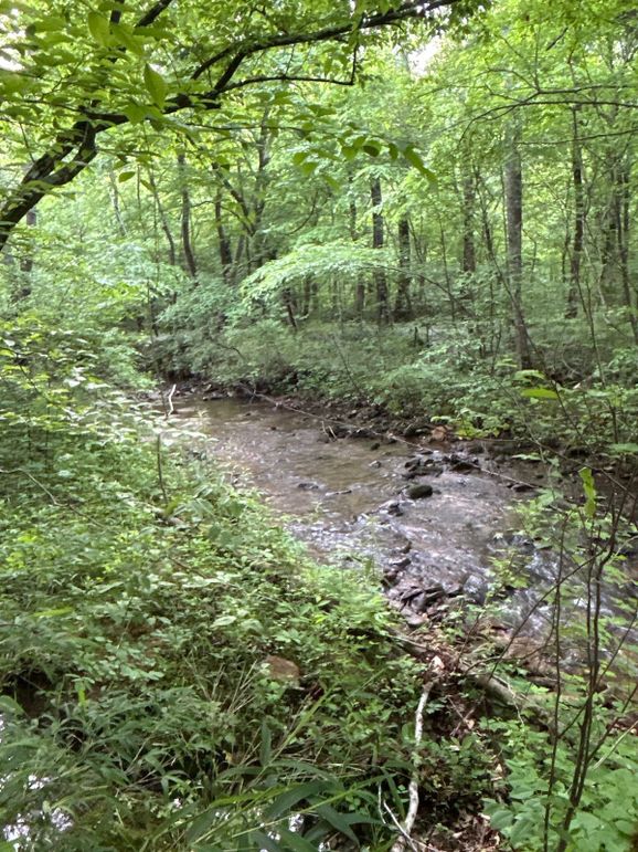 001_Profile Picturepng