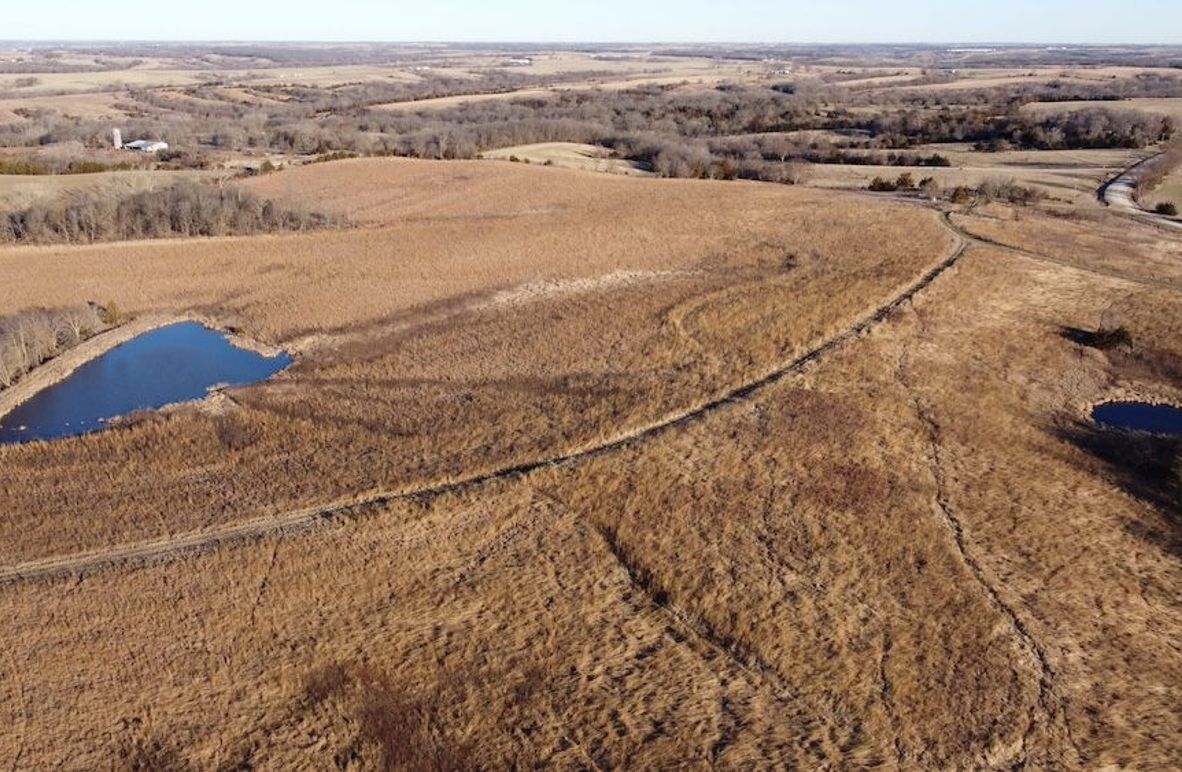 96D4B0CA-4A10-4CAE-AAD6-07292DA07978