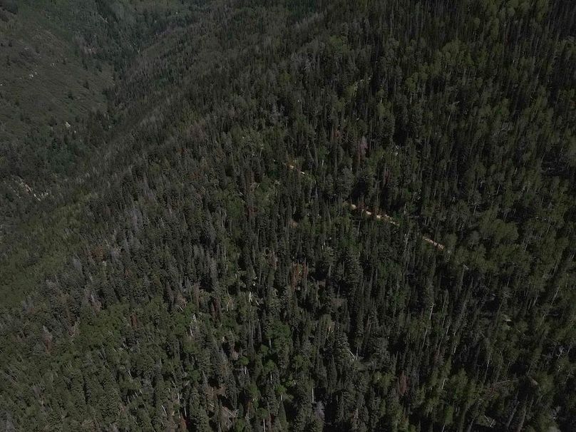 Copy of Photo_1080295645_DJI_221_jpg_4975825_0_202261415432_photo_original.jpg