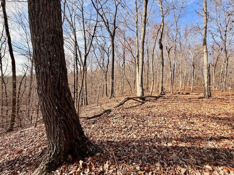 Roane Co TN 396 20251127_79