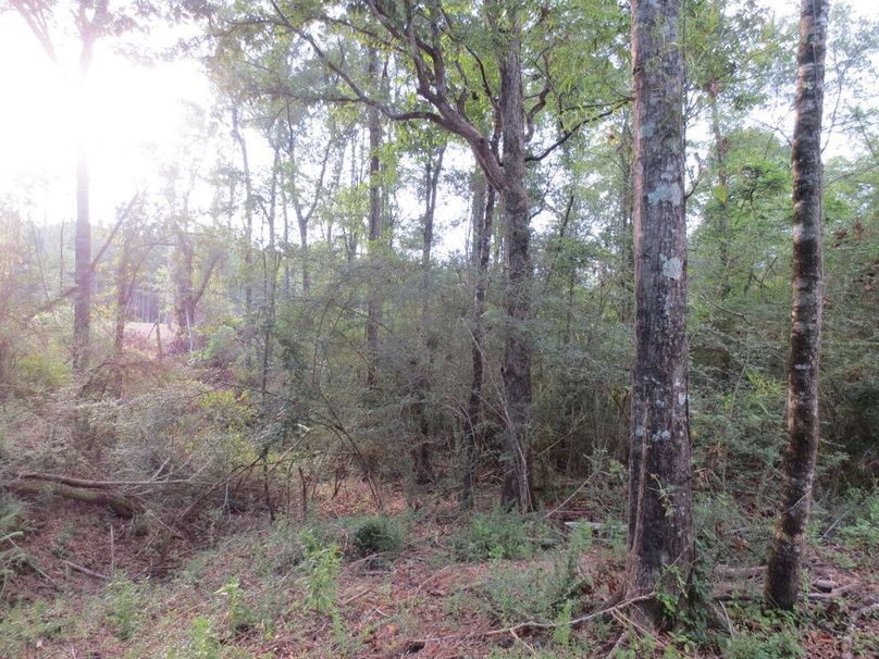 7E1FE4B6-5D5E-4872-A355-5F1B808E7B24_1_105_c