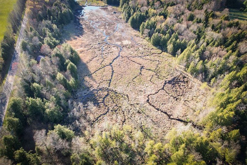 Oswego_17.88_Feld_Photos_66