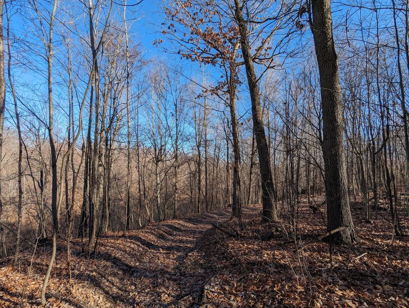 PXL_20231215_164559945