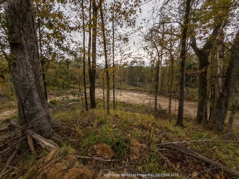 Claiborne Co-189-Geronimo-39