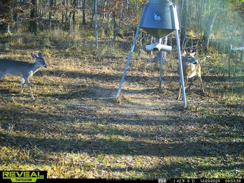 Holmes County - 108 - Rodriguez-87