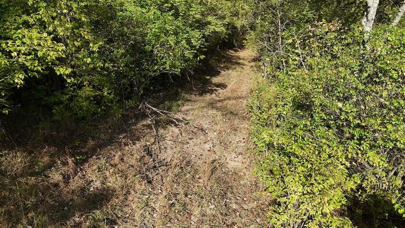 DJI_20251002170520_0386_D