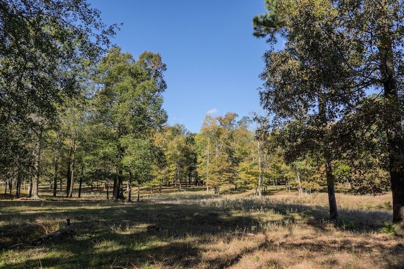 69 harrison 417ac pics-088