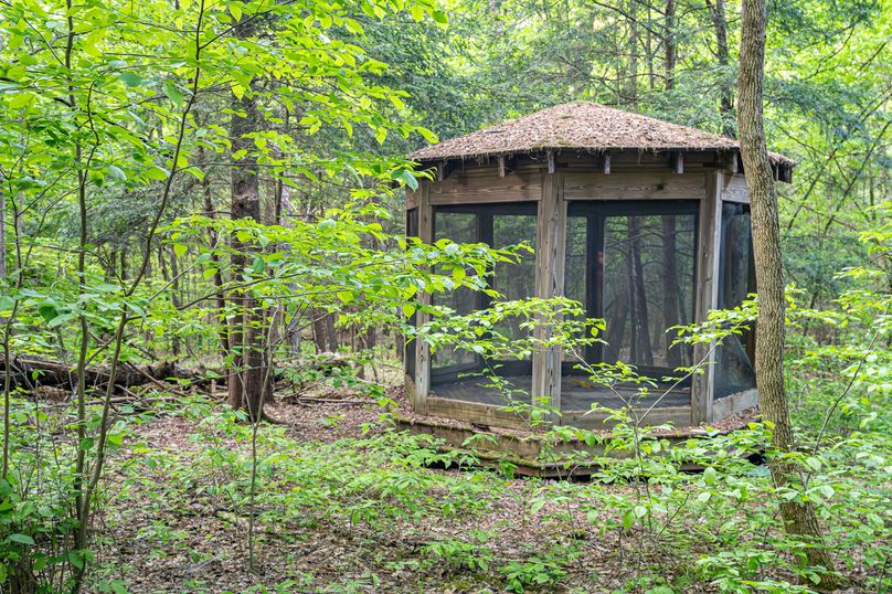 Tompkins_38.42_Shea_Photos_41