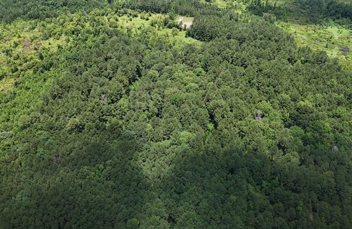 DJI_20250620020939_0636_D