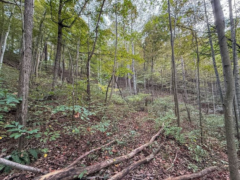 Greenup 77.28 Holsinger-40