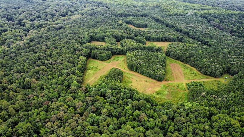 dji_fly_20250802_102454_581_1754144704903_photo_optimized