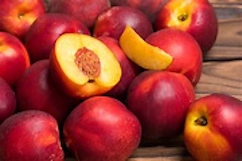 nectarines