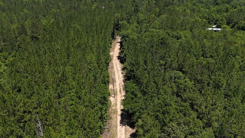 DJI_20240516124111_0013_D