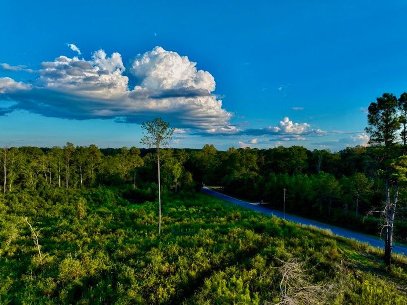 750A0E52-A22B-465C-91FD-726082F94E97_1_105_c-2