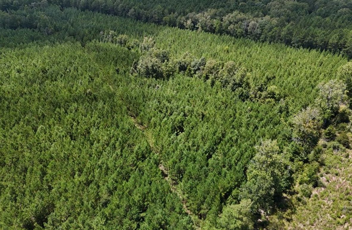 DJI_20250727033739_0545_D