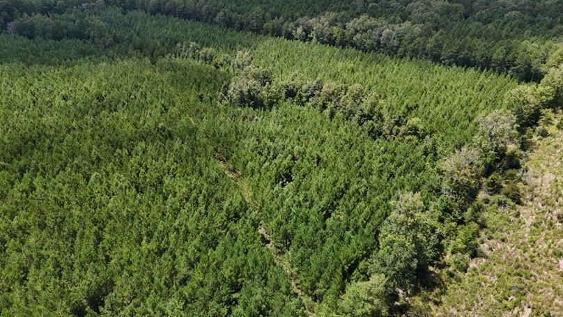 DJI_20250727033739_0545_D