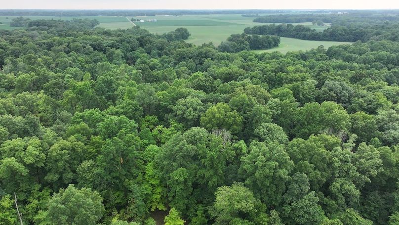 dji_fly_20240629_123902_0216_1719679397423_photo