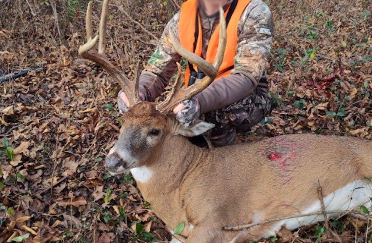 2 - 2026-02-12T093932.890