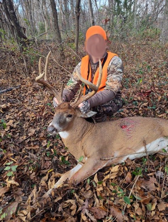 2 - 2026-02-12T093932.890