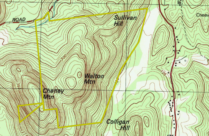 Essex County NY 318.8 Tiger Ventures LLC Topo Map