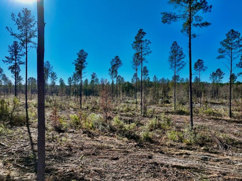 641F4584-BAD5-493A-86CA-5FDD1B9EFFC2_1_201_a