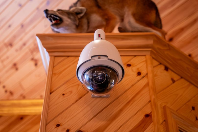 Ogemaw MI 475 Featured Pro Photo--57