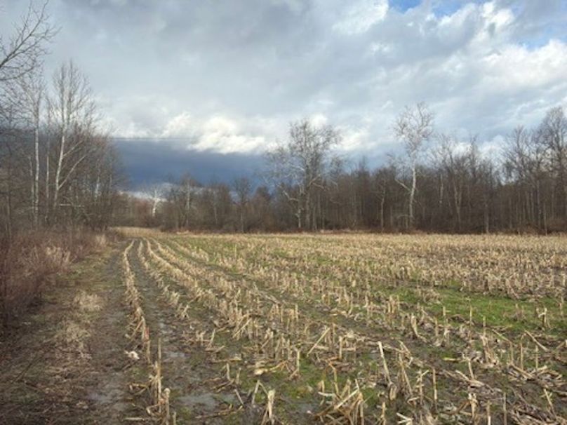 12F05CD1-AAF1-41DB-B7FC-C54C8A86B5DB_4_5005_c