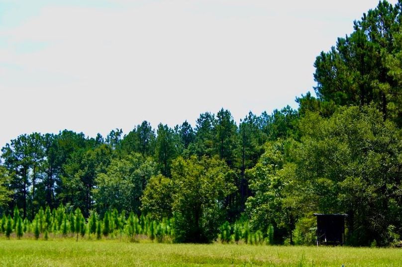 EB853D6A-3A6E-43AC-99BB-813CF633C8E7_1_105_c