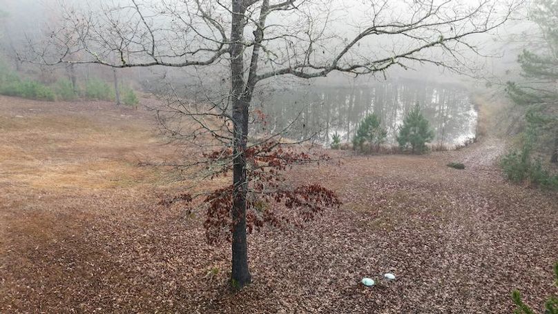 Claiborne Co - 274 - Marian-111