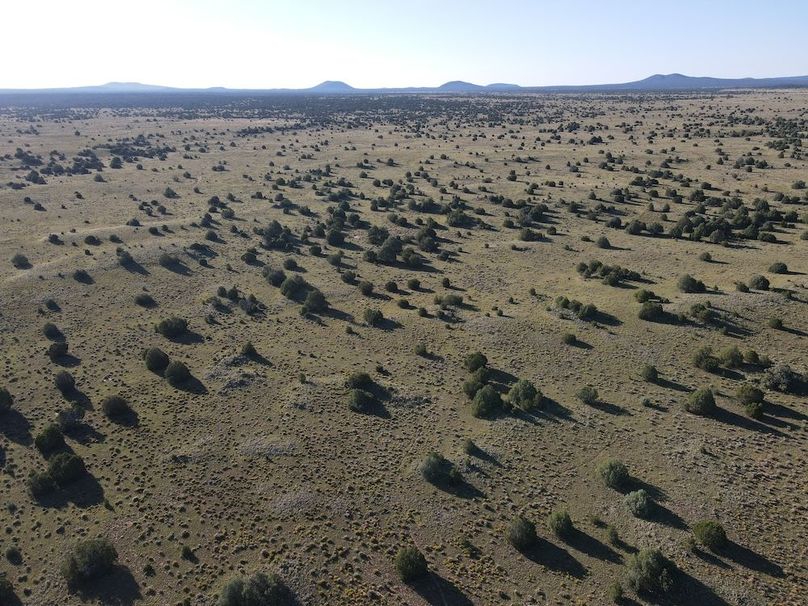 dji_fly_20240816_080800_523_1723817319090_photo