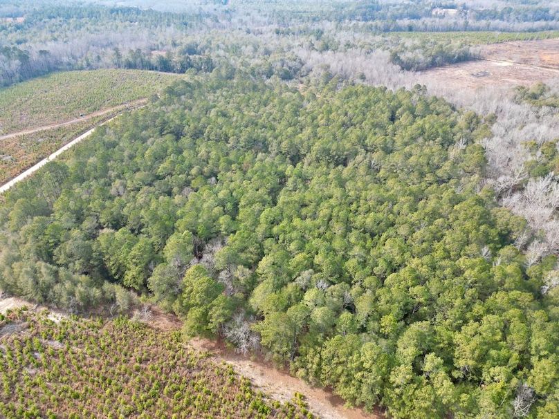 dji_fly_20260203_142404_663_1770146713647_photo