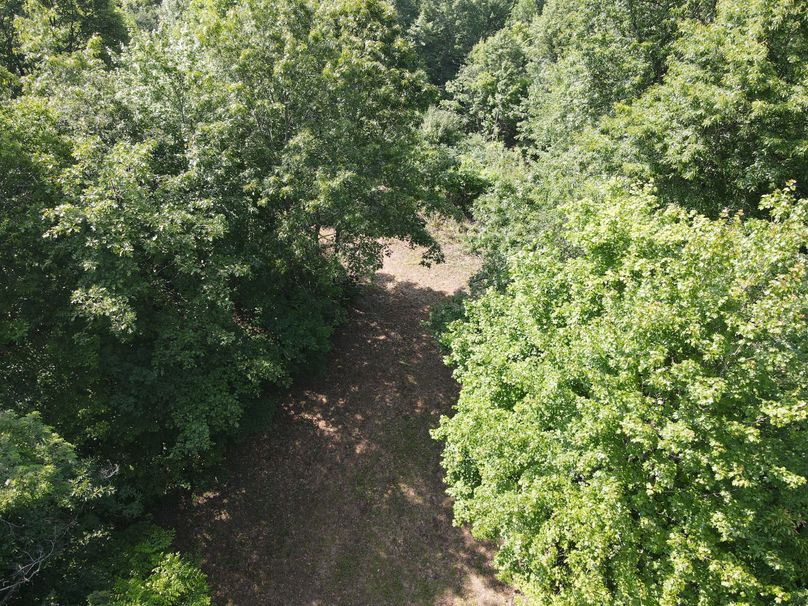 Macon 3.38 Bloodworth-04