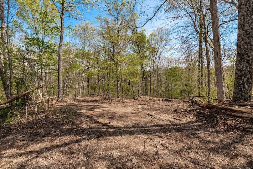 48-web-or-mls-0 Mound Creek Rd-18