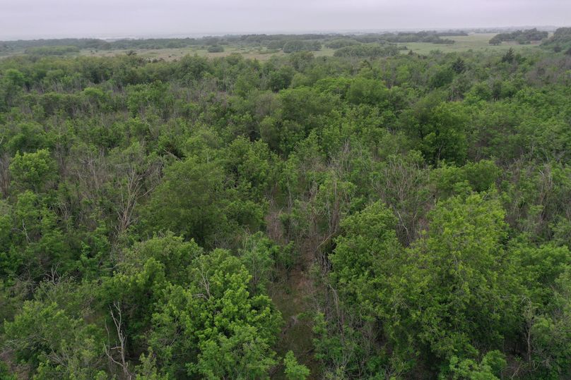 DJI_0403