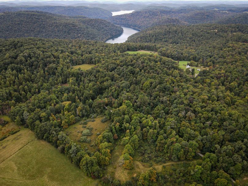 dji_fly_20230923_081308_109_1695471223581_photo