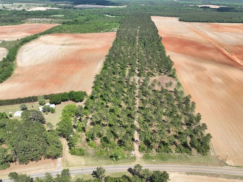 dji_fly_20260417_151452_509_1776455861865_photo