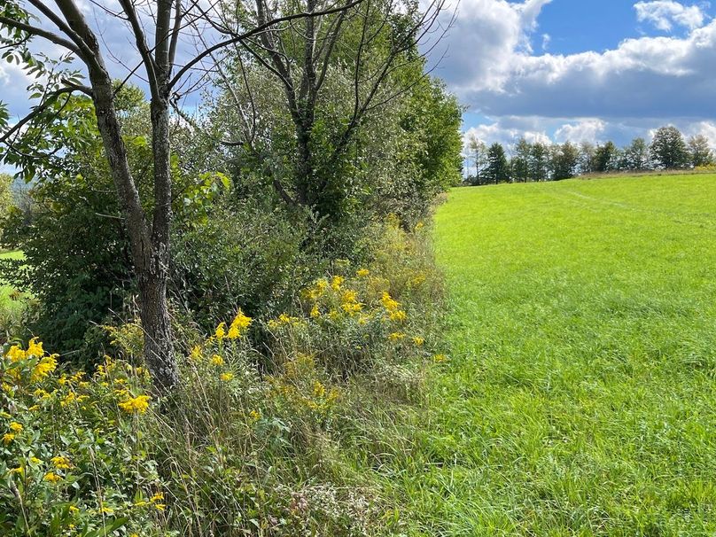 Schuyler_42.08_Austin Photo 37