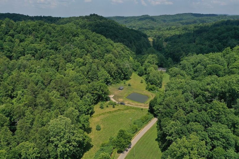 016 aerial drone shot from the southeast looking north along Cow Branch Road