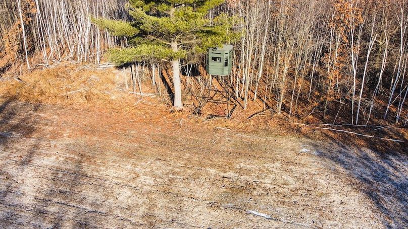 ClarK 160 WILLIAMS -40