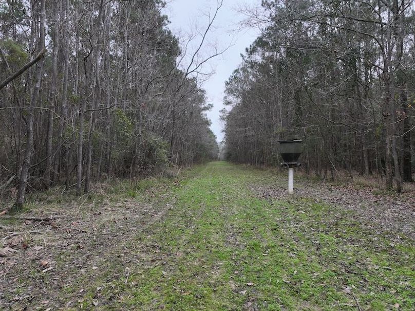 dji_fly_20260123_112900_0916_1769444786492_photo