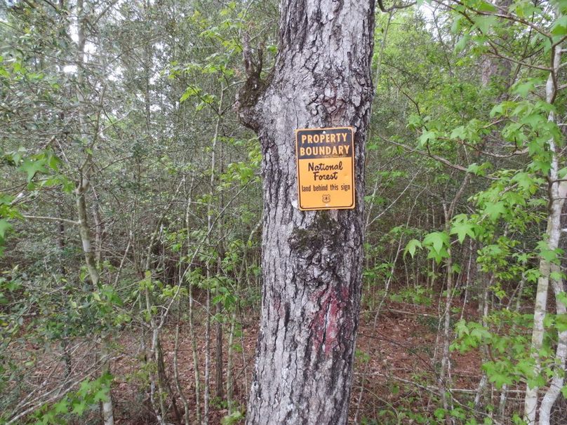 A8CF660D-43AC-4E43-948F-A45EB0CE4241_1_105_c