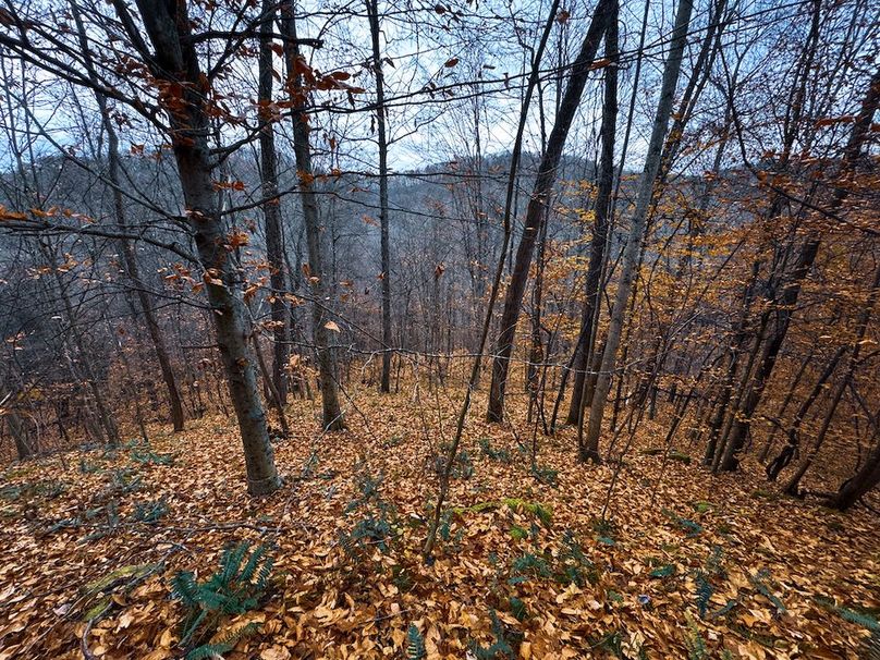 Ritchie, WV 100 AC Harper-16