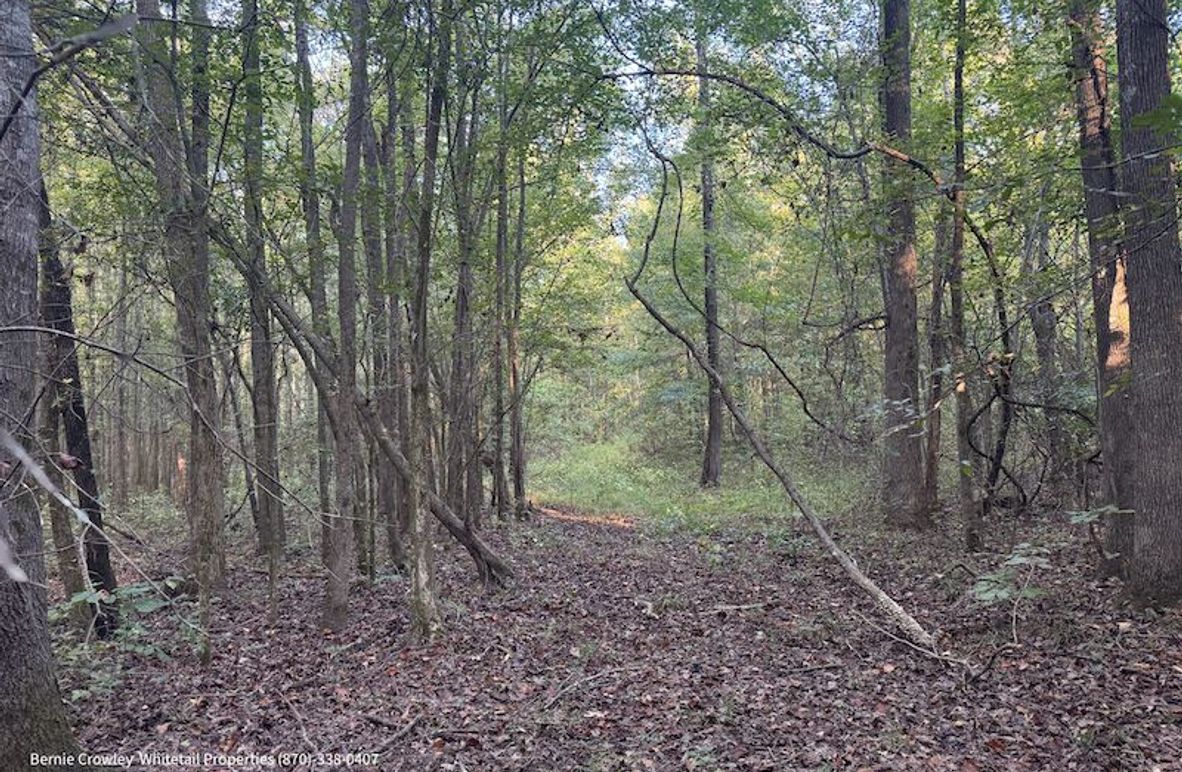 DeSoto 109 Prewett -4