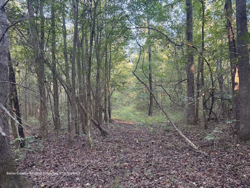 DeSoto 109 Prewett -4