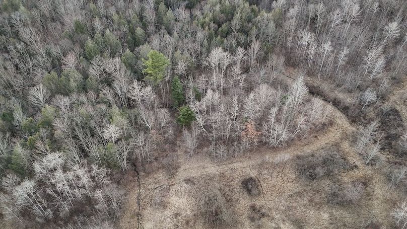 Chemung_59.65_Kocsis_photos_39